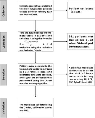 Evaluating the predictive significance of systemic immune-inflammatory index and tumor markers in lung cancer patients with bone metastases